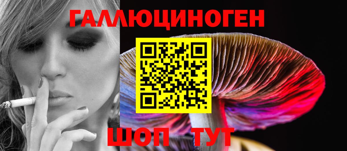 Псилоцибиновые грибы Cubensis Александров