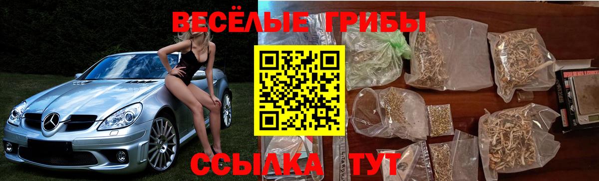 Александров  наркотики  Галлюциногенные грибы GOLDEN TEACHER  Вход с VPN  Псилоцибиновые грибы MAGIC MUSHROOMS 